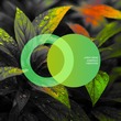 Jordy Wess, Junerule - Vibration