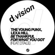 The Young Punx, Lexa Hill, DTale - Be Thankful For What You Got (Extended Mix) The Young Punx, Lexa Hill, DTale - Be Thankful For What You Got (Extended Mix)