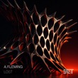 A.Fleming - Lost