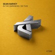 Sean Harvey - In the Darkness / Do This