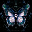 Breezwell, anvmsc - Angel Breezwell, anvmsc - Angel