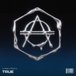 Tujamo, Pessto - True (Extended Mix)