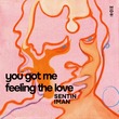 Sentin, IMAN (SE) - You Got Me Feeling The Love