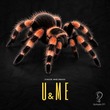 Mari Krasso, E1NOOR - U&ME