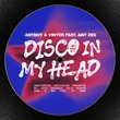 Antdot, Vinter (BR), ANY ZEE - Disco In My Head (Extended Mix)