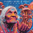 Burn In Noise, Faders - Ayana