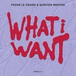 Fedde Le Grand, Quînten Mertns - What I Want Fedde Le Grand, Quînten Mertns - What I Want