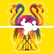 derderwandert - Flamingos y Flamenco